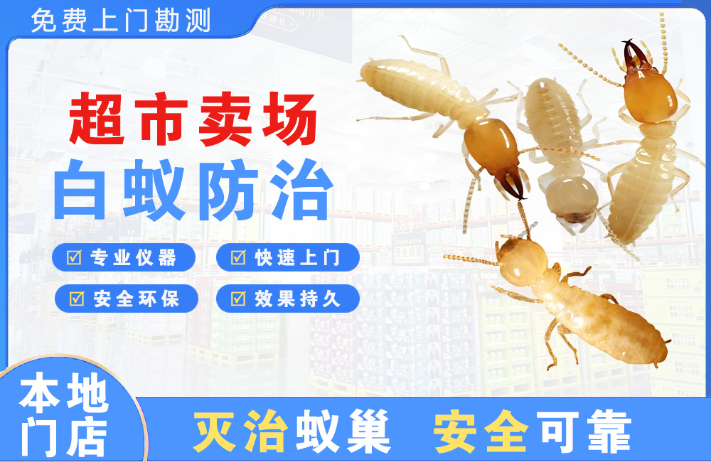 邵阳超市卖场白蚁防治