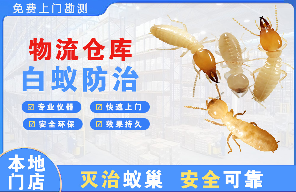 邵阳物流仓库白蚁防治