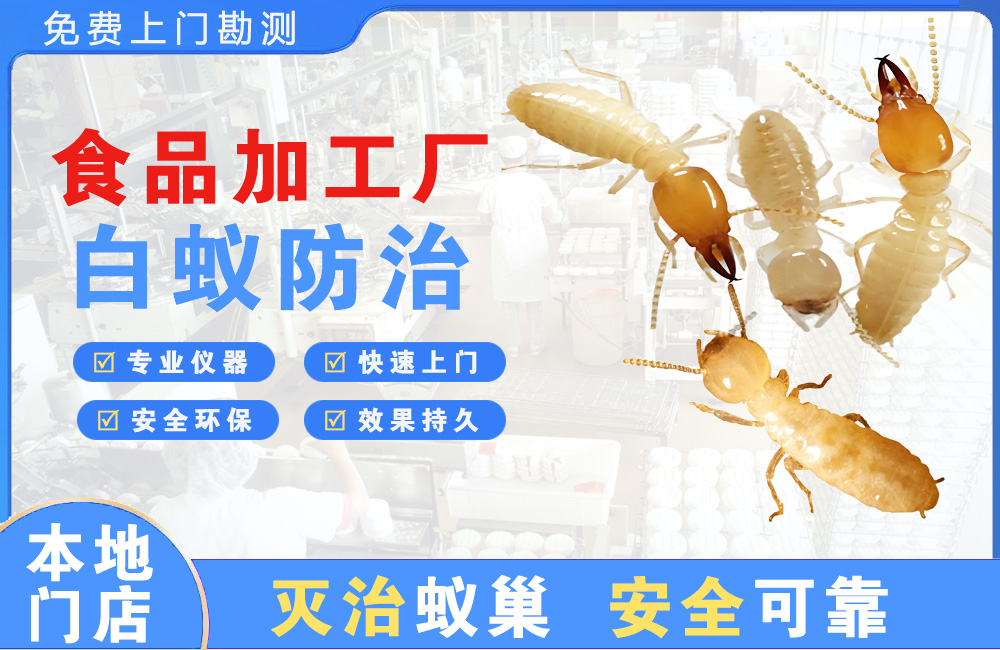 邵阳食品加工厂白蚁防治