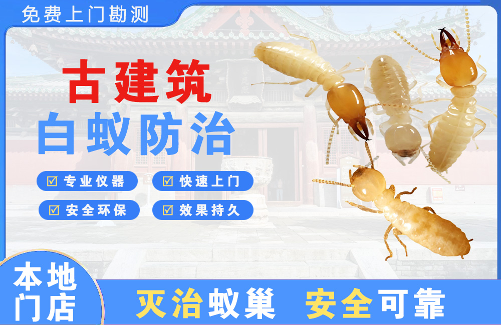 邵阳古建筑白蚁防治