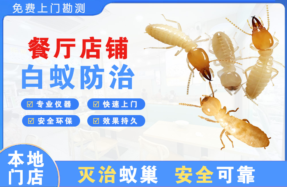 邵阳餐厅店铺白蚁防治